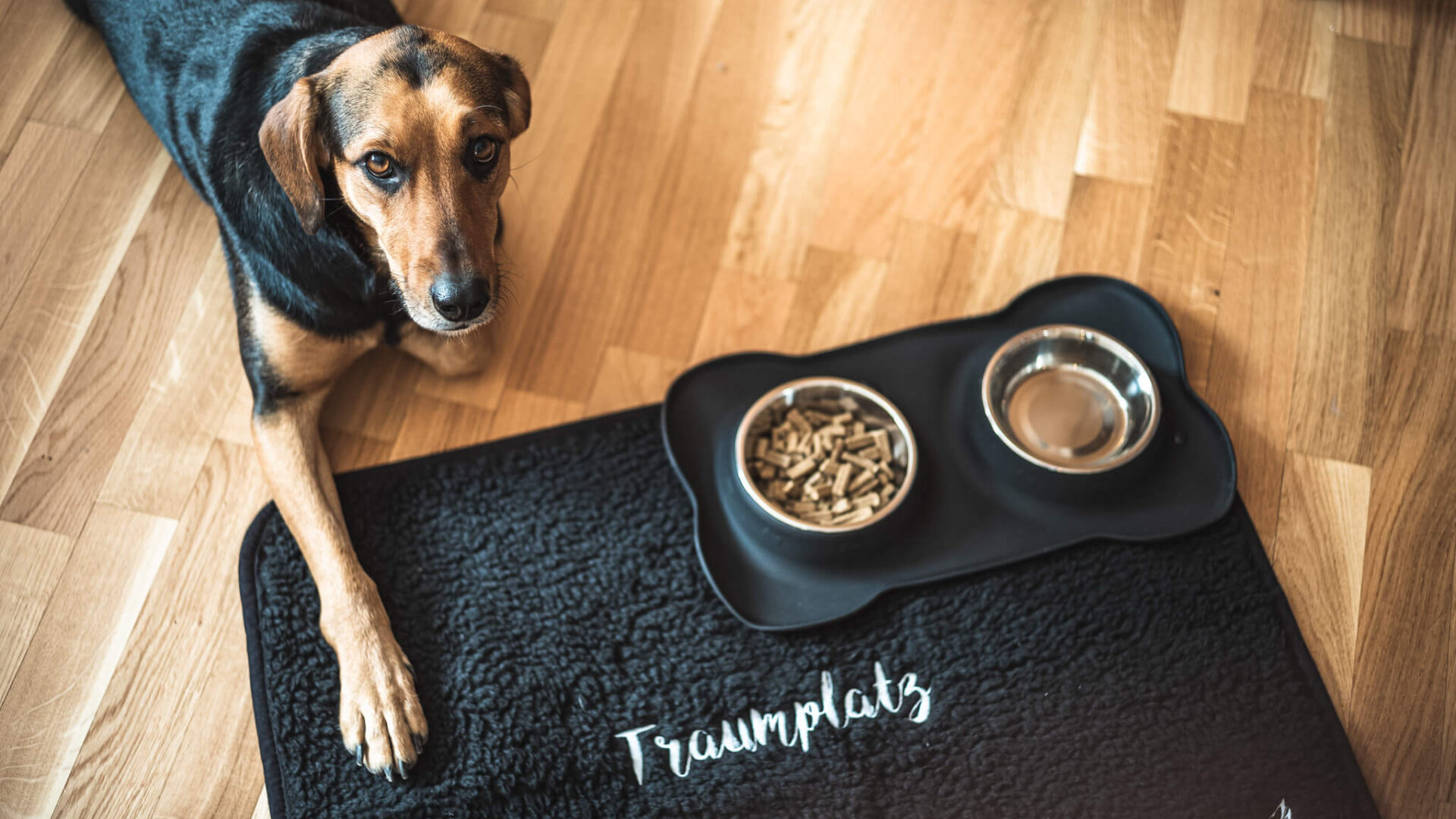 Urlaub mit Hund